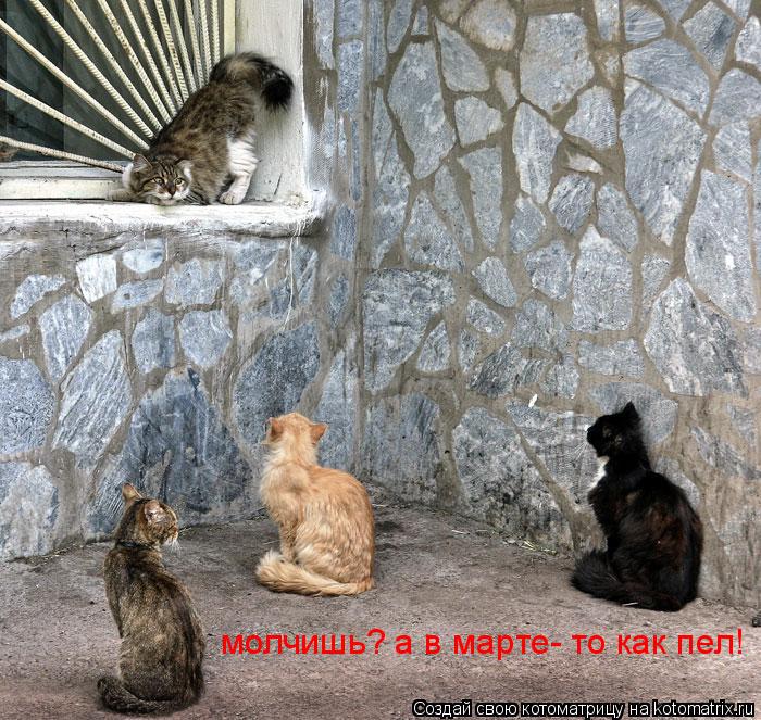 молчишь? а в марте- то как пел!... Котоматрица: молчишь? а в марте- то как пел!