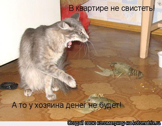 В квартире не свистеть! А то у хозяина денег не будет!... Котоматрица: В квартире не свистеть! А то у хозяина денег не будет!