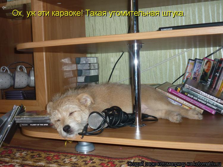 Ох, уж эти караоке! Такая утомительная штука.... Котоматрица: Ох, уж эти караоке! Такая утомительная штука.