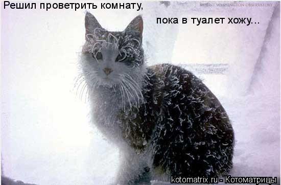 Решил проветрить комнату, пока в туалет хожу...... Котоматрица: Решил проветрить комнату, пока в туалет хожу...