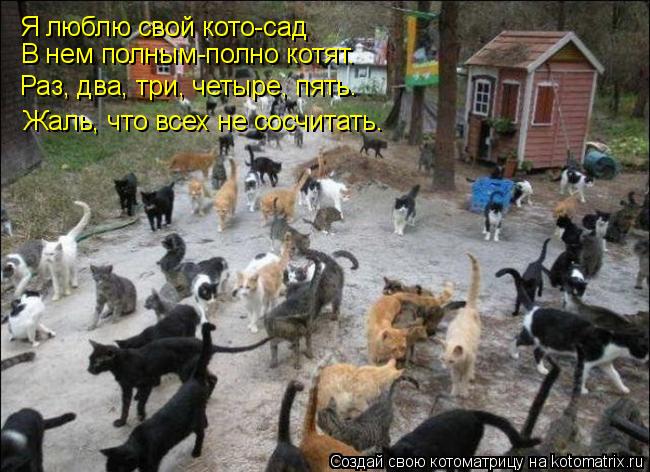 Я люблю свой кото-сад В нем полным-полно котят. Раз, два, три, четыре, пять… Жаль, что всех не сосчит... Котоматрица: Я люблю свой кото-сад В нем полным-полно котят. Раз, два, три, четыре, пять… Жаль, что всех не сосчитать.