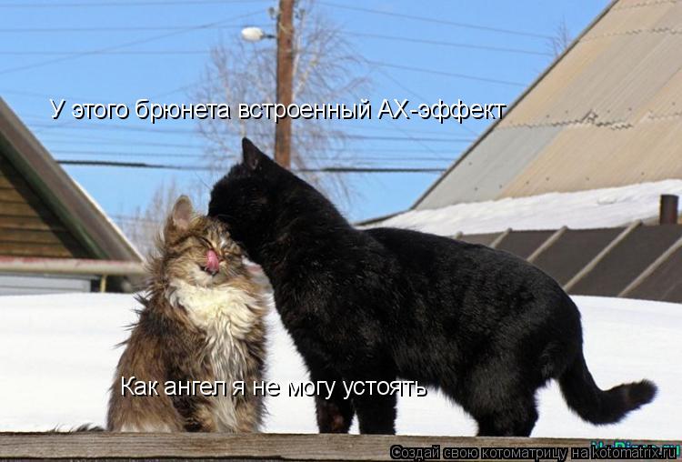У этого брюнета встроенный АХ-эффект Как ангел я не могу устоять... Котоматрица: У этого брюнета встроенный АХ-эффект Как ангел я не могу устоять