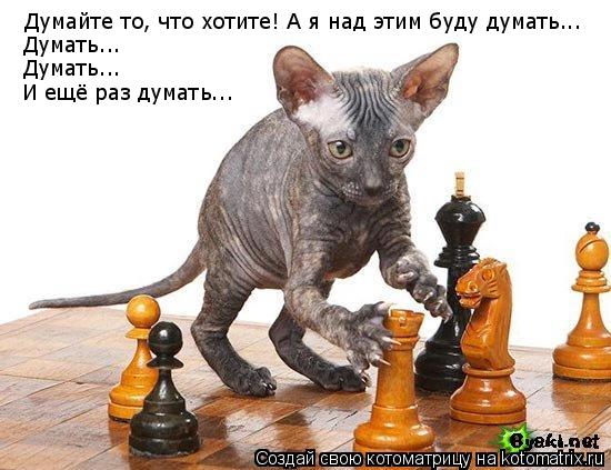 Думайте то, что хотите! А я над этим буду думать... Думать... Думать... И ещё раз думать...... Котоматрица: Думайте то, что хотите! А я над этим буду думать... Думать... Думать... И ещё раз думать...