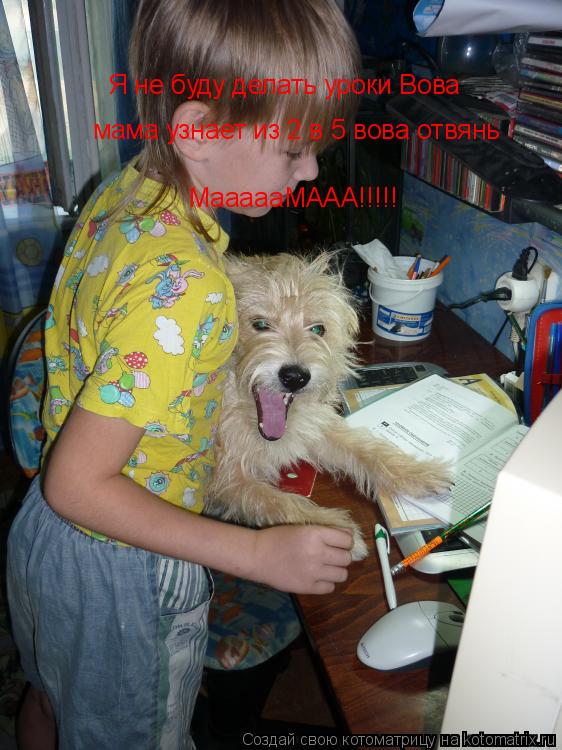 Я не буду делать уроки Вова мама узнает из 2 в 5 вова отвянь МаааааМААА!!!!!... Котоматрица: Я не буду делать уроки Вова мама узнает из 2 в 5 вова отвянь МаааааМААА!!!!!