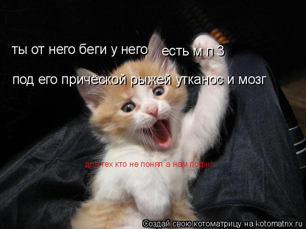 ты от него беги у него ты от него беги у него есть м п 3 под его причёской рыжей утканос и мозг для... Котоматрица: ты от него беги у него ты от него беги у него есть м п 3 под его причёской рыжей утканос и мозг для тех кто не понял а нам пофиг