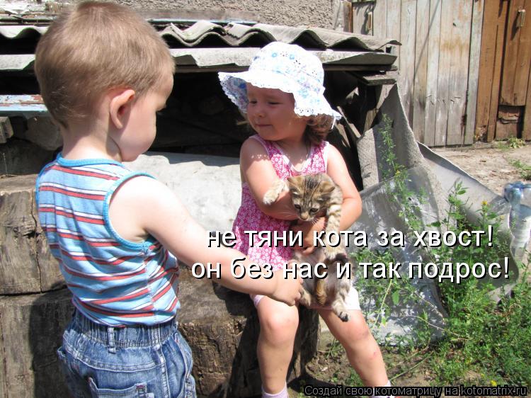 не тяни кота за хвост! он без нас и так подрос!... Котоматрица: не тяни кота за хвост! он без нас и так подрос!