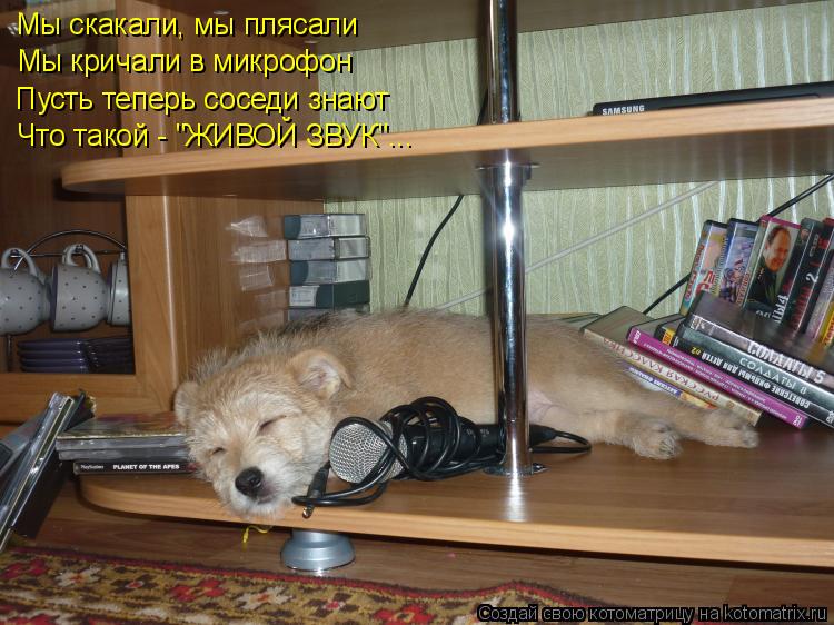 Мы скакали, мы плясали Мы кричали в микрофон Пусть теперь соседи знают Что такой - "ЖИВОЙ ЗВУК"...... Котоматрица: Мы скакали, мы плясали Мы кричали в микрофон Пусть теперь соседи знают Что такой - "ЖИВОЙ ЗВУК"...