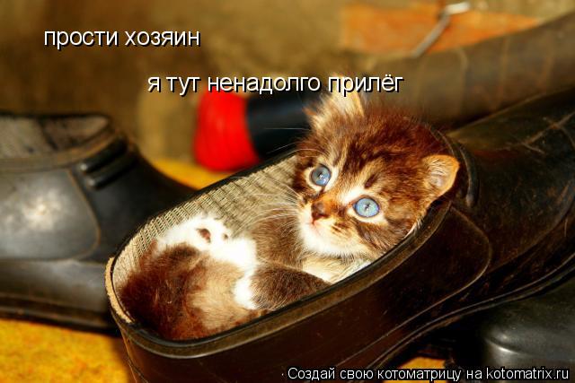 прости хозяин я тут ненадолго прилёг... Котоматрица: прости хозяин я тут ненадолго прилёг