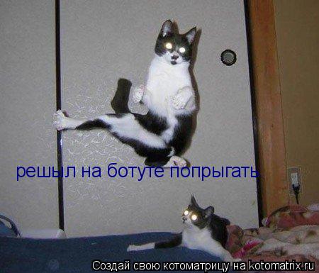 решыл на ботуте попрыгать... Котоматрица: решыл на ботуте попрыгать
