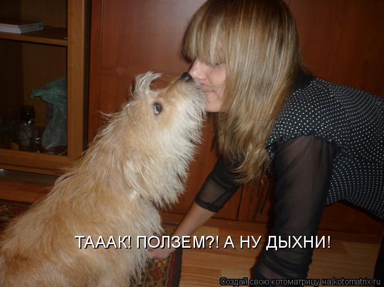 ТАААК! ПОЛЗЕМ?! А НУ ДЫХНИ!... Котоматрица: ТАААК! ПОЛЗЕМ?! А НУ ДЫХНИ!