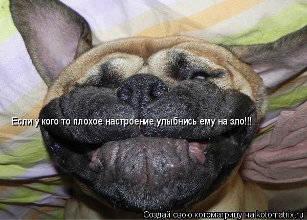 Котоматрица: Если у кого то плохое настроение,улыбнись ему на зло!!!