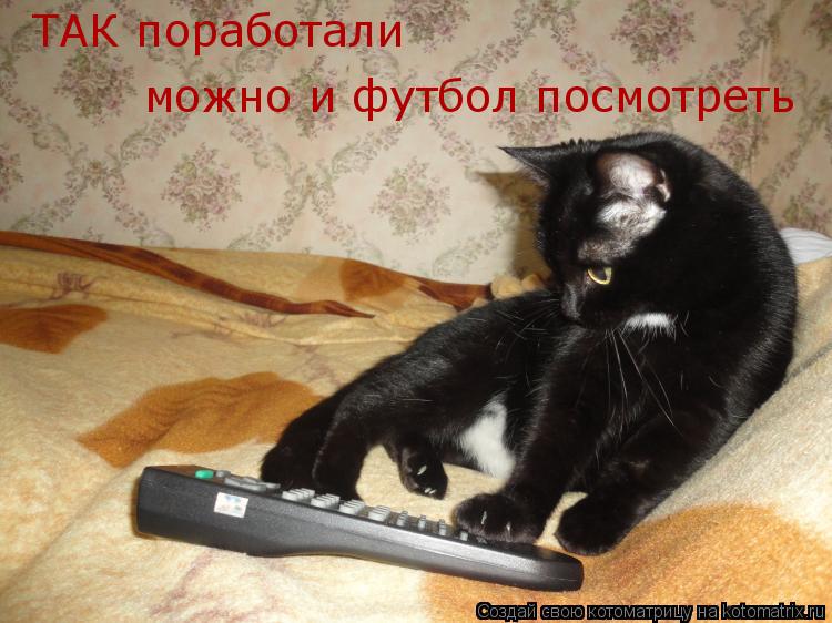 Котоматрица: ТАК поработали можно и футбол посмотреть