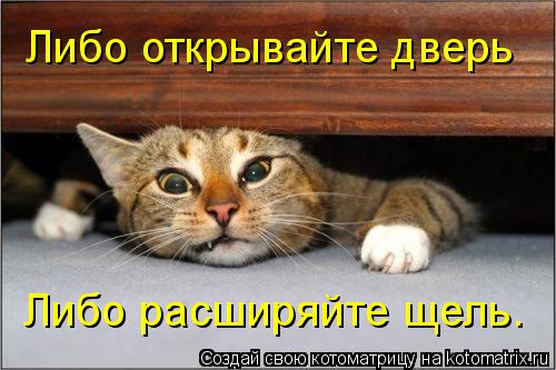 Котоматрица: Либо открывайте дверь  Либо расширяйте щель.
