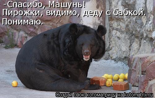 Котоматрица: -Спасибо, Машунь! Пирожки, видимо, деду с бабкой. Понимаю.