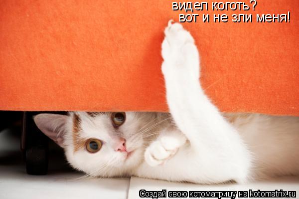 Котоматрица: видел коготь?  вот и не зли меня!