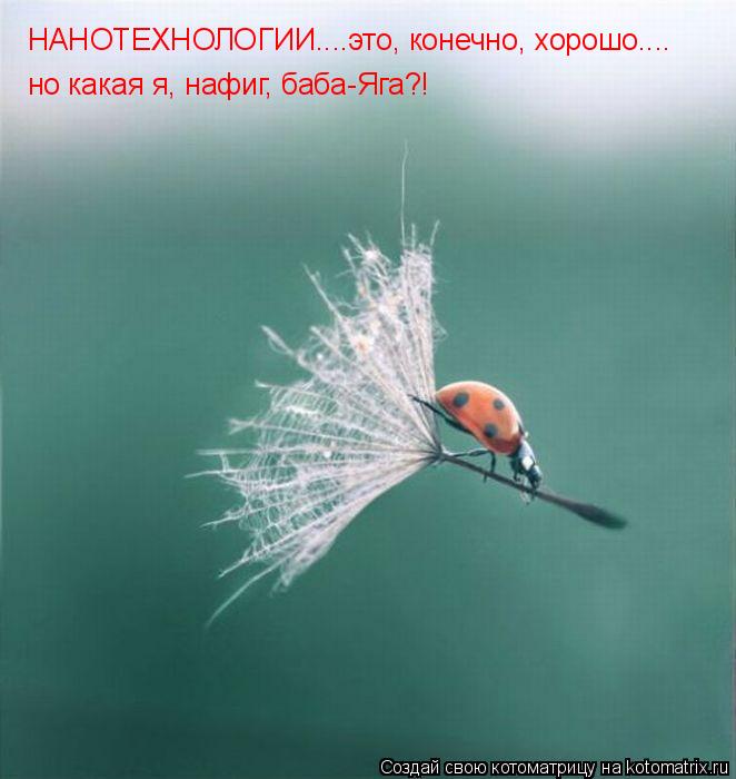 НАНОТЕХНОЛОГИИ....это, конечно, хорошо.... но какая я, нафиг, баба-Яга?!... Котоматрица: НАНОТЕХНОЛОГИИ....это, конечно, хорошо.... но какая я, нафиг, баба-Яга?!