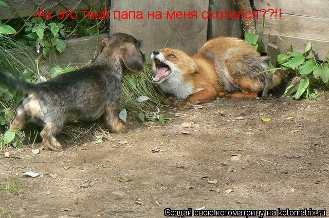 -Ах это твой папа на меня охотился??!!... Котоматрица: -Ах это твой папа на меня охотился??!!
