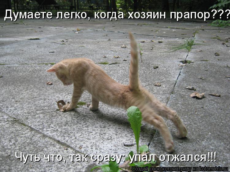 Думаете легко, когда хозяин прапор??? Чуть что, так сразу: упал отжался!!!... Котоматрица: Думаете легко, когда хозяин прапор??? Чуть что, так сразу: упал отжался!!!