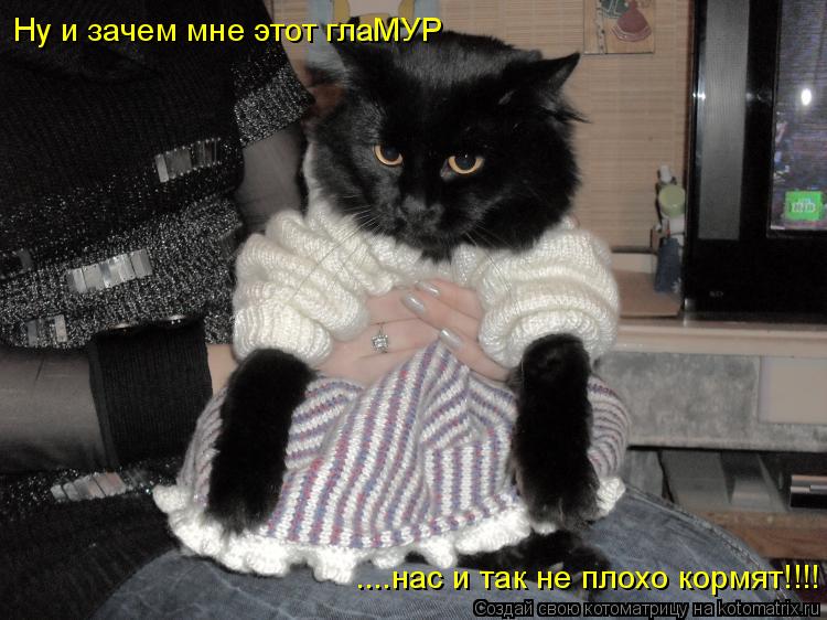 Ну и зачем мне этот глаМУР ....нас и так не плохо кормят!!!!... Котоматрица: Ну и зачем мне этот глаМУР ....нас и так не плохо кормят!!!!