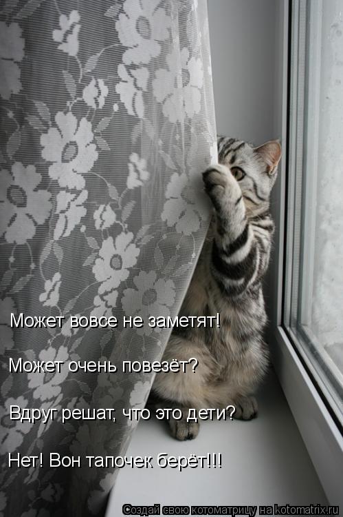 Может вовсе не заметят! Может очень повезёт? Вдруг решат, что это дети? Нет! Вон тапочек берёт!!!... Котоматрица: Может вовсе не заметят! Может очень повезёт? Вдруг решат, что это дети? Нет! Вон тапочек берёт!!!