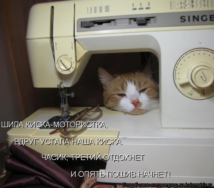 Котоматрица: ШИЛА КИСКА-МОТОРИСТКА, ВДРУГ УСТАЛА НАША КИСКА. ЧАСИК, ТРЕТИЙ ОТДОХНЕТ И ОПЯТЬ ПОШИВ НАЧНЕТ!