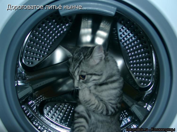Дороговатое литьё нынче...... Котоматрица: Дороговатое литьё нынче...