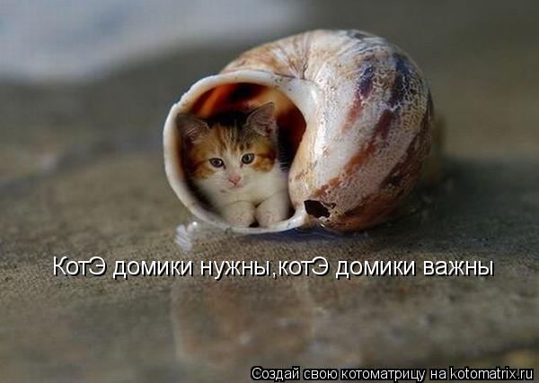 Котоматрица: КотЭ домики нужны,котЭ домики важны