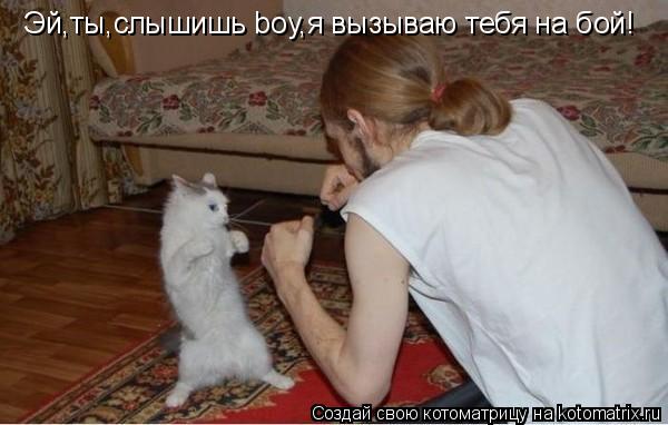 Котоматрица: Эй,ты,слышишь boy,я вызываю тебя на бой!