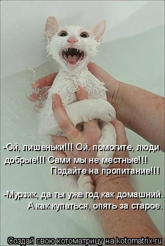 -Ой, лишеньки!!! Ой, помогите, люди добрые!!! Сами мы не местные!!! Подайте на пропитание!!! -Мурзик,... Котоматрица: -Ой, лишеньки!!! Ой, помогите, люди добрые!!! Сами мы не местные!!! Подайте на пропитание!!! -Мурзик, да ты уже год как домашний. А как купаться, опя