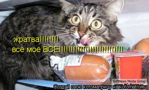 Котоматрица: жратва!!!!!!!! всё моё ВСЕ!!!!!!!!!!!!!!!!!!!!!!!!!!!