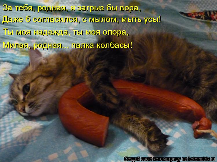 За тебя, родная, я загрыз бы вора, Даже б согласился, с мылом, мыть усы! Ты моя надежда, ты моя о... Котоматрица: За тебя, родная, я загрыз бы вора, Даже б согласился, с мылом, мыть усы! Ты моя надежда, ты моя опора, Милая, родная... палка колбасы!