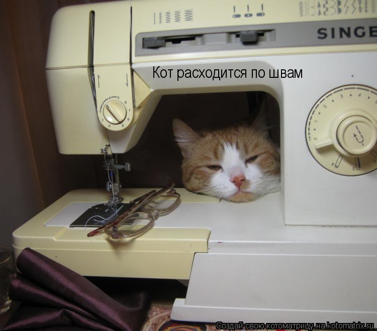 Котоматрица: Кот расходится по швам