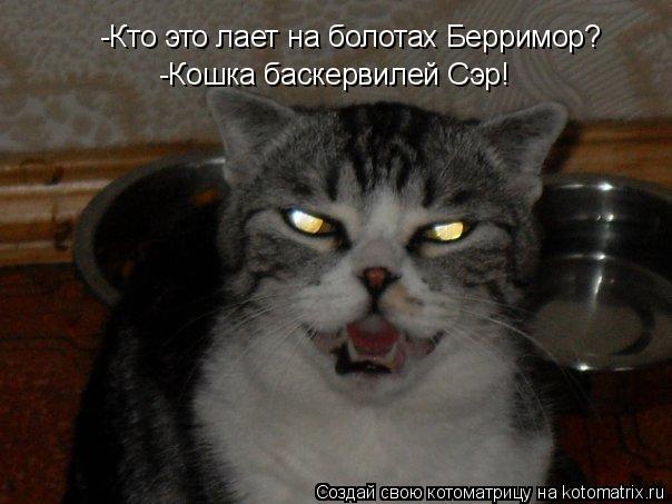 Котоматрица: -Кто это лает на болотах Берримор? -Кошка баскервилей Сэр!