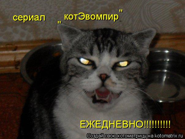 Котоматрица: котЭвомпир сериал " " ЕЖЕДНЕВНО!!!!!!!!!!