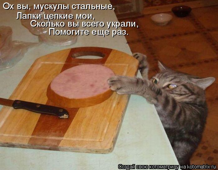Ох вы, мускулы стальные, Лапки цепкие мои, Сколько вы всего украли, Помогите еще раз…... Котоматрица: Ох вы, мускулы стальные, Лапки цепкие мои, Сколько вы всего украли, Помогите еще раз…