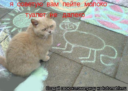 я советую вам пейте молоко туалет не далеко... Котоматрица: я советую вам пейте молоко туалет не далеко