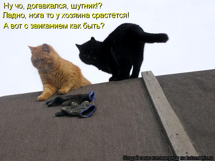 Ну чо, догавкался, шутник!? Ладно, нога то у хозяина срастётся! А вот с заиканием как быть?... Котоматрица: Ну чо, догавкался, шутник!? Ладно, нога то у хозяина срастётся! А вот с заиканием как быть?