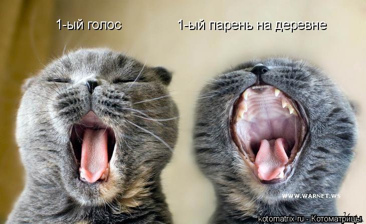 1-ый голос 1-ый парень на деревне... Котоматрица: 1-ый голос 1-ый парень на деревне