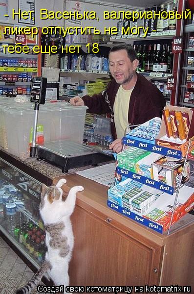 - Нет, Васенька, валериановый ликер отпустить не могу - тебе еще нет 18... Котоматрица: - Нет, Васенька, валериановый ликер отпустить не могу - тебе еще нет 18