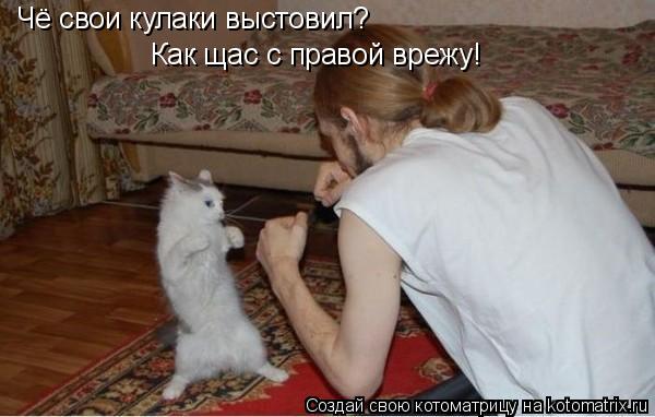 Чё свои кулаки выстовил? Как щас с правой врежу!... Котоматрица: Чё свои кулаки выстовил? Как щас с правой врежу!