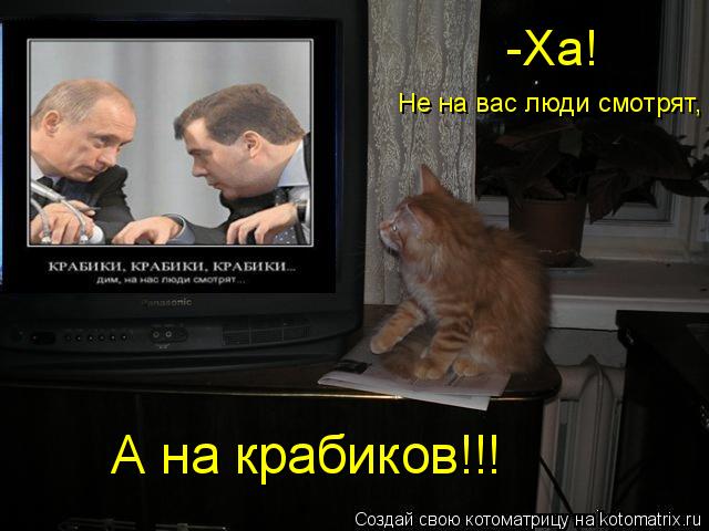 Котоматрица: -Ха! Не на вас люди смотрят, А на крабиков!!!