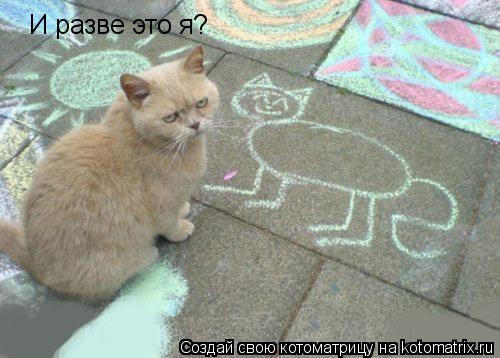 И разве это я?... Котоматрица: И разве это я?
