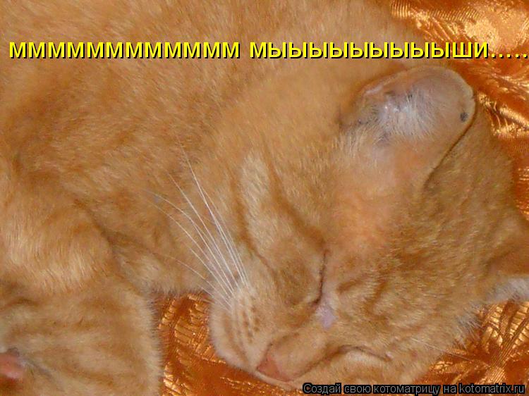 мммммммммммм мыыыыыыыыыши.............. Котоматрица: мммммммммммм мыыыыыыыыыши...........