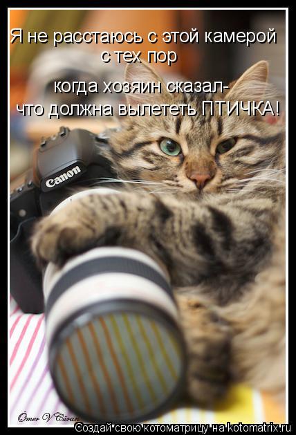 Я не расстаюсь с этой камерой с тех пор когда хозяин сказал- что должна вылететь ПТИЧКА!... Котоматрица: Я не расстаюсь с этой камерой с тех пор когда хозяин сказал- что должна вылететь ПТИЧКА!