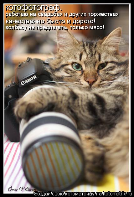 котофотограф. работаю на свадьбах и других торжествах качественно бысто и дорого! колбасу не предлага... Котоматрица: котофотограф. работаю на свадьбах и других торжествах качественно бысто и дорого! колбасу не предлагать, только мясо!