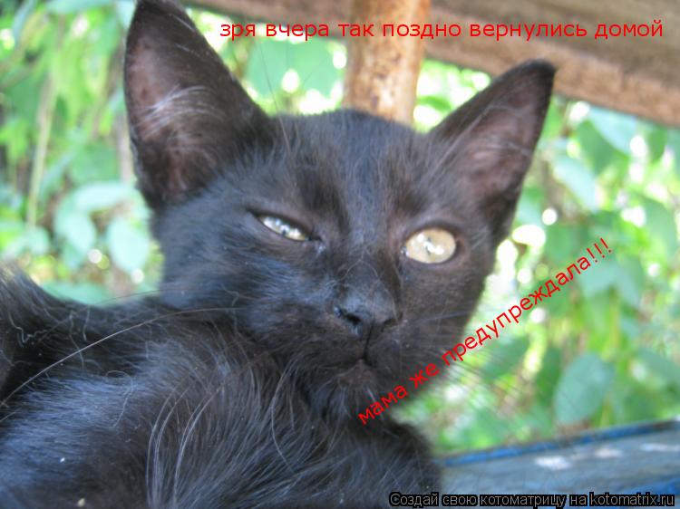 зря вчера так поздно вернулись домой мама же предупреждала!!!... Котоматрица: зря вчера так поздно вернулись домой мама же предупреждала!!!