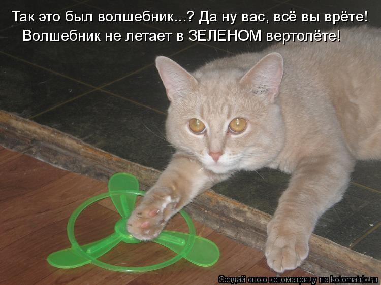 Так это был волшебник...? Да ну вас, всё вы врёте! Волшебник не летает в ЗЕЛЕНОМ вертолёте!... Котоматрица: Так это был волшебник...? Да ну вас, всё вы врёте! Волшебник не летает в ЗЕЛЕНОМ вертолёте!