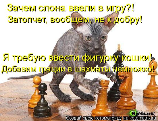 Зачем слона ввели в игру?! Затопчет, вообщем, не к добру! Я требую ввести фигурку кошки! Добавим грац... Котоматрица: Зачем слона ввели в игру?! Затопчет, вообщем, не к добру! Я требую ввести фигурку кошки! Добавим грации в шахматы немножко!