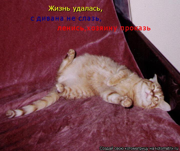 Жизнь удалась, с дивана не слазь, ленись,хозяину проказь... Котоматрица: Жизнь удалась, с дивана не слазь, ленись,хозяину проказь