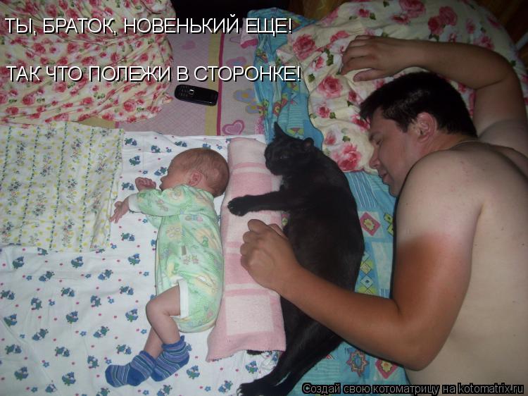 ТЫ, БРАТОК, НОВЕНЬКИЙ ЕЩЕ! ТАК ЧТО ПОЛЕЖИ В СТОРОНКЕ!... Котоматрица: ТЫ, БРАТОК, НОВЕНЬКИЙ ЕЩЕ! ТАК ЧТО ПОЛЕЖИ В СТОРОНКЕ!